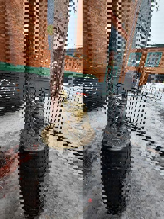 IMAGE 2026-02-19 121216.jpg